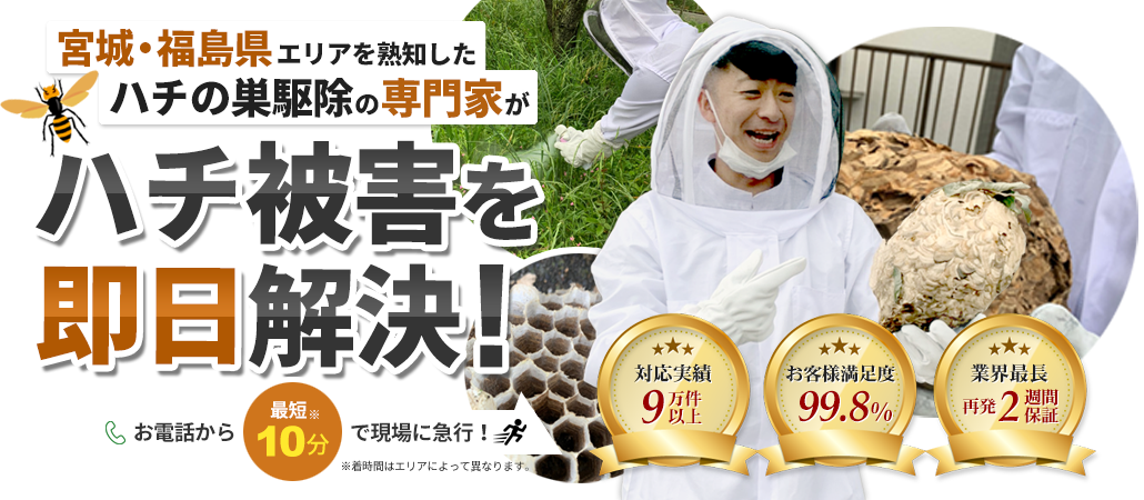 宮城・福島県　ハチの巣駆除の専門家が鉢被害を即日解決