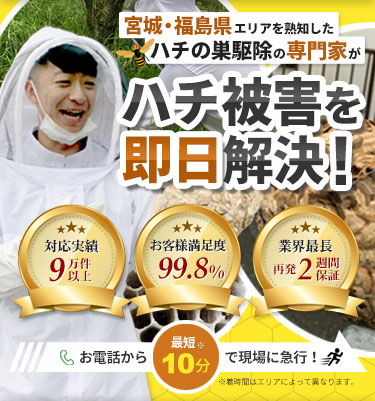 宮城・福島県　ハチの巣駆除の専門家が鉢被害を即日解決